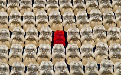 Job hunting? Avoid these 6 pitfalls…