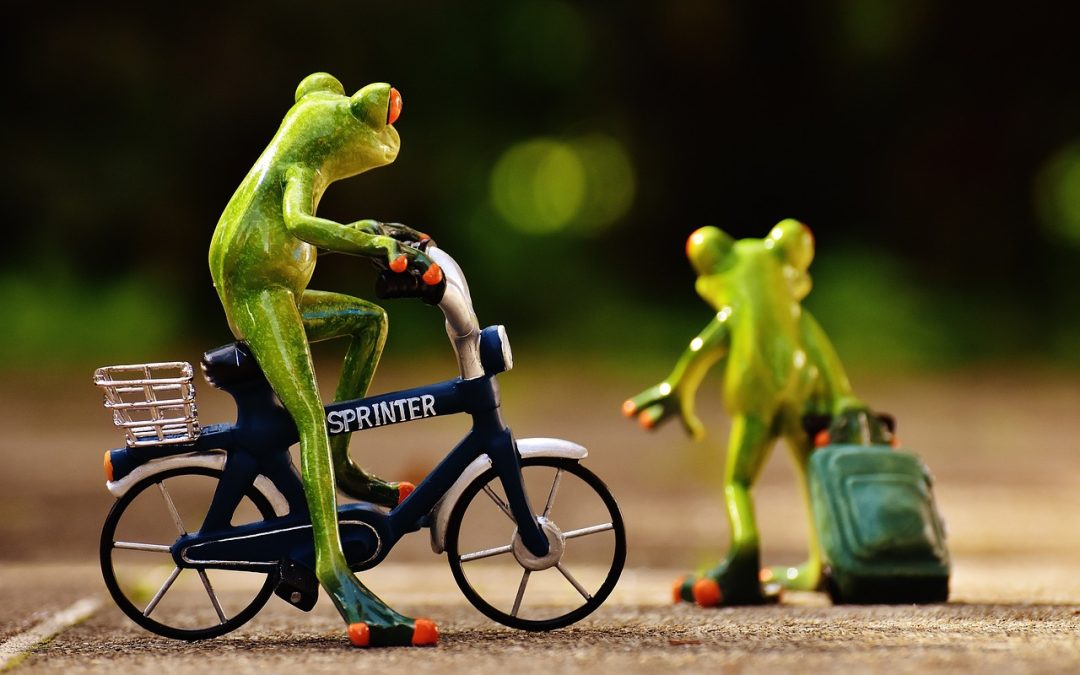 When starting over is not an option…